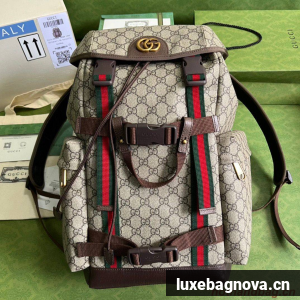 Gucci Ophidia GG Supreme backpack 690999 Brown