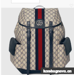 Gucci Ophidia GG medium backpack 598140 Blue