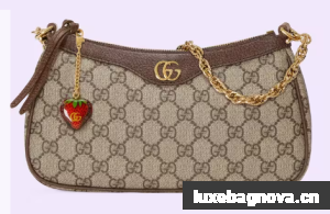 Gucci Ophidia GG small handbag 735132 Brown 