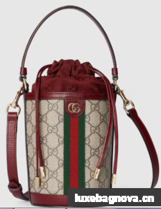 Gucci Ophidia mini bucket bag 838462 red