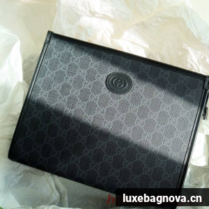 Gucci Ophidia pouch 672956 black