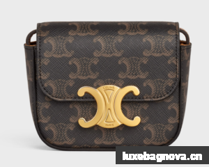 Celine MINI TRIOMPHE IN TRIOMPHE CANVAS AND CALFSKIN 10I512 TAN