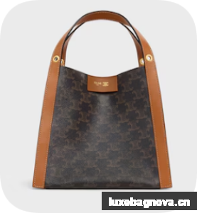 Celine SMALL CUBE BAG IN Triomphe Canvas and NATURAL Calfskin 124182 MIEL