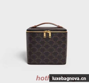 Celine Square Vanity Case In Triomphe Canvas And Calfskin 956437 Tan