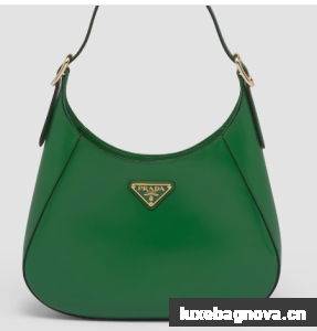 Prada Leather shoulder bag 1BC179 green