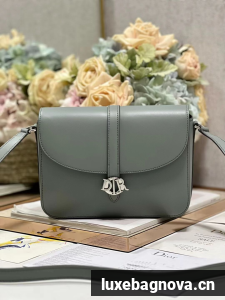 DIOR Calfskin Shoulder Bag C0561 gray