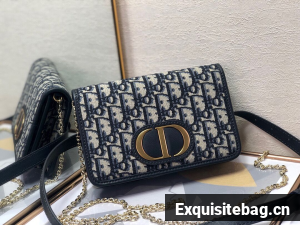 DIOR Oblique Belt Bag D26989