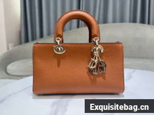 DIOR small Lady D-Sire My ABCDior Bag Bull Leather M11509T brown