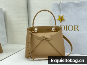 Dior Calfskin Tote Bag 6598 Apricot
