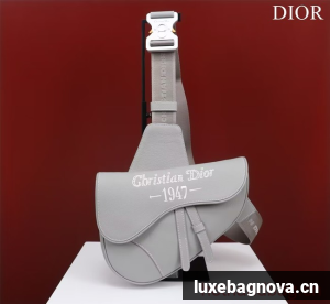 Dior Essentials SADDLE BAG Grained Calfskin 1ADPO093f-1 gray