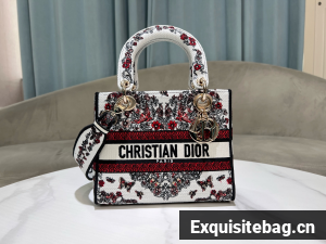 Dior Medium Lady D-Lite Bag Embroidery M0565OECZ-21