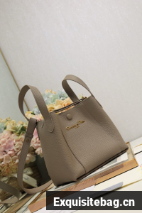 Dior Medium Signature Bucket Bag Grained Calfskin M2841USKU gray