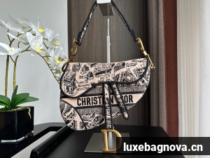 Dior SADDLE BAG Embroidery M0446C-1