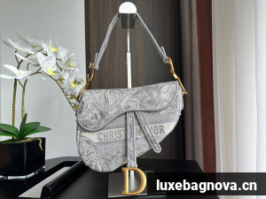 Dior SADDLE BAG Embroidery M0446C-4