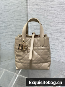 Small Dior Toujours Vertical Tote Bag Macrocannage Crinkled Calfskin M2835 beige