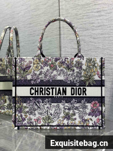 Dioramour Medium Dior Book Tote M1296ZEEV Multicolor