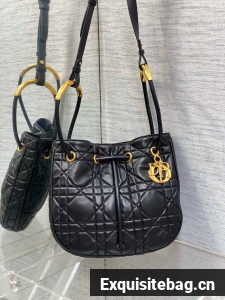 Dioriviera Medium Dior Nolita Bag Calfskin M2312UB black