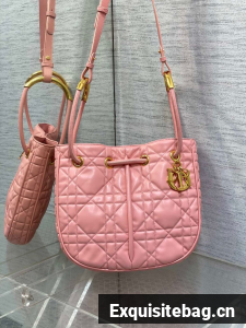 Dioriviera Medium Dior Nolita Bag Calfskin M2312UB pink