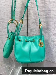 Dioriviera Medium Dior Nolita Bag Calfskin M2312UBGQ green