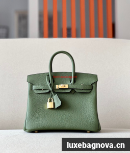 Hermes Birkin 25CM Bag Original Togo Leather 17888 Green