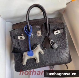 Hermes Birkin 25CM Tote Bag Original Croco Leather H25TCO Grey