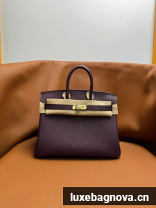 Hermes Birkin Bag Leather togo 5570-10