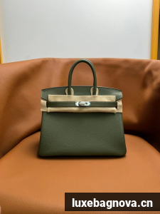 Hermes Birkin Bag Leather togo 5570-8