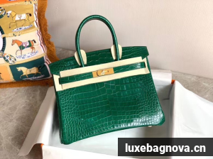 Hermes Birkin Bag Original Leather crocodile HBK35 green