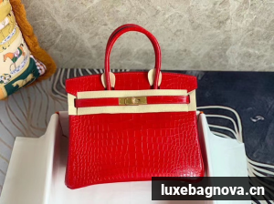Hermes Birkin Bag Original Leather crocodile HBK35 red