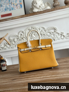 Hermes Birkin Bag togo Leather 2835-3