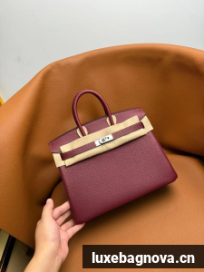 Hermes Birkin Bag togo Leather 5570-12