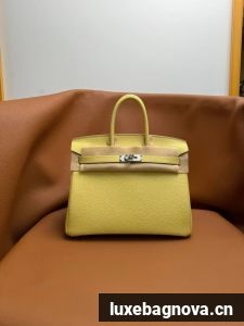 Hermes Birkin Bag togo Leather 5570-14