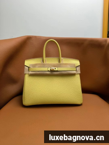 Hermes Birkin Bag togo Leather 5570-15