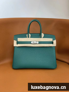 Hermes Birkin Bag togo Leather 5570-17