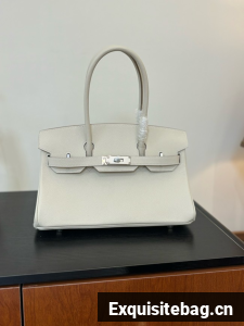 Hermes Birkin evercolor 66541 Cream