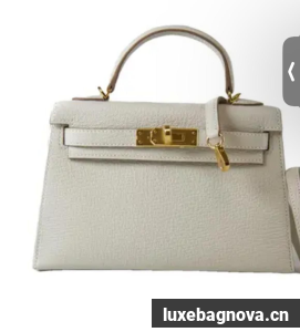 Hermes Kelly 19cm Shoulder Bags Original Swift Leather KL19 White Gold-Tone