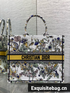 Large Dior Book Tote Embroidery Embroidery M1286ZEDX-3