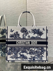 Large Dior Book Tote Embroidery Embroidery M1286ZEDX-7