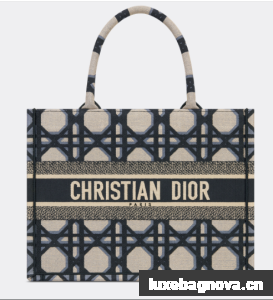 MEDIUM DIOR BOOK TOTE Beige and Blue Macrocannage Embroidery M1296ZZA