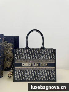 MEDIUM DIOR BOOK TOTE Ecru and Blue Dior Oblique Embroidery M1296ZRIW