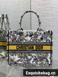 Medium Dior Book Tote Embroidery Embroidery M1296ZTDT-3