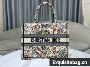 Medium Dior Book Tote Embroidery M1296ZESJ