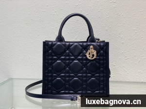 SMALL DIOR BOOK TOTE Black Calfskin M1295ZG