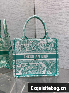 Small Dior Book Tote Aquamarina Toile de Jouy Embroidery M1265Z