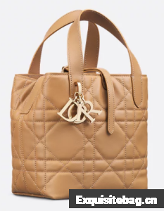 Small Dior Toujours Vertical Tote BagTan Macrocannage Calfskin M2835OSNW
