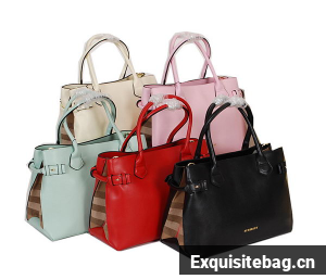 BurBerry Tote Bag Bag in Original Leather 9181A