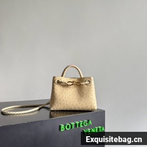 Bottega Veneta Mini Andiamo Sapele 805232 Brass finish
