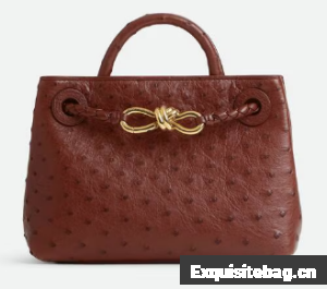 Bottega Veneta Mini Andiamo Sapele 805232 Sapele