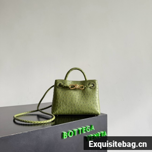 Bottega Veneta Mini Andiamo Sapele 805232 green