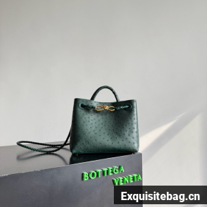 Bottega Veneta Small Andiamo 805231 Jungle